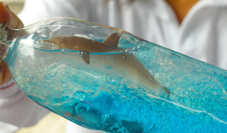 Matins familiars el petit Ateneu: Taller d’ampolles sensorials i vermut.