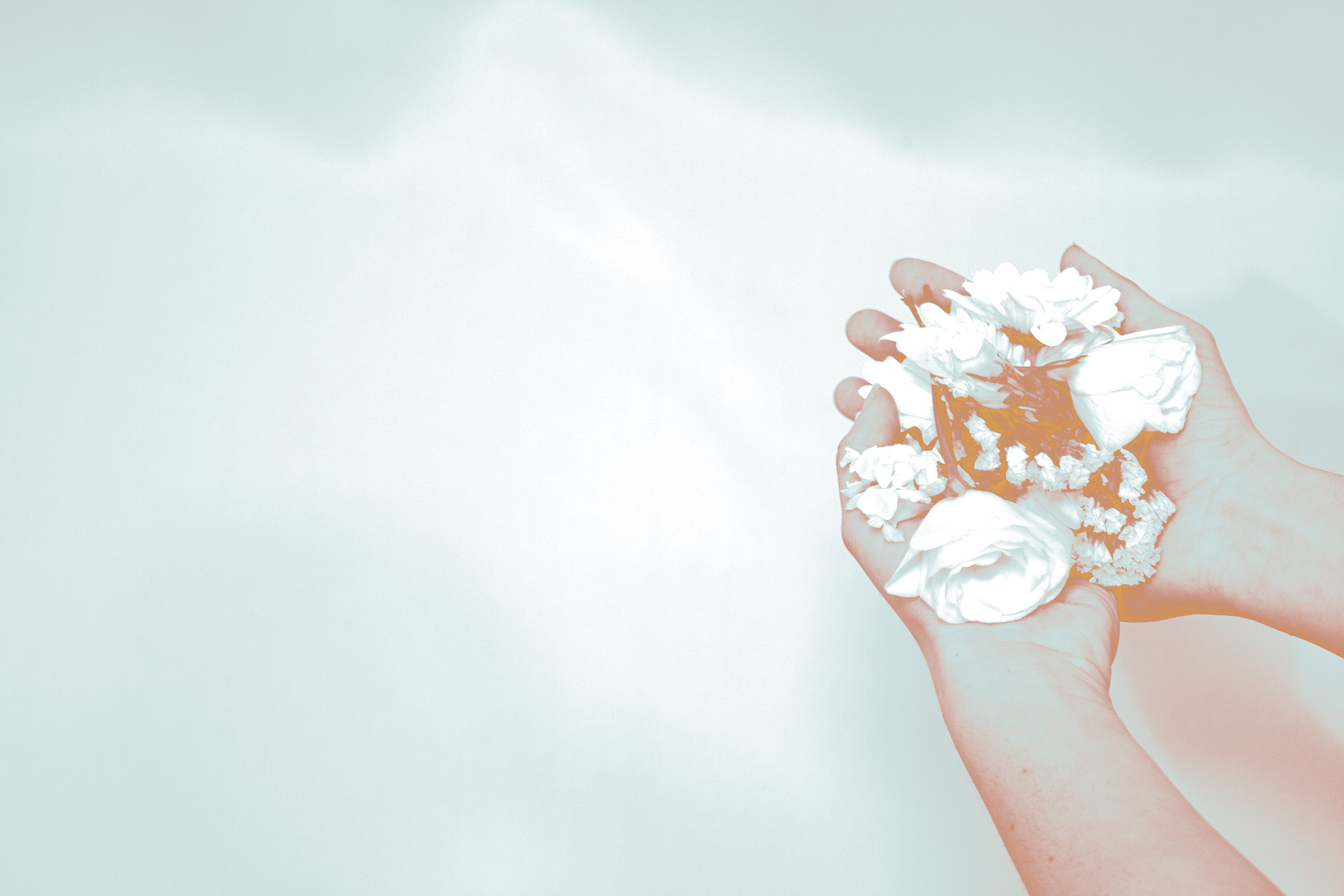 Suicidio-Projecte ERAM