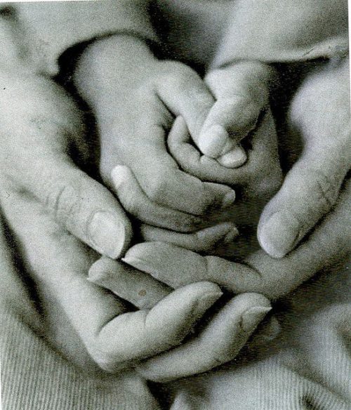 Dels sentits a la comunicació – 2n taller: Força i autonomia