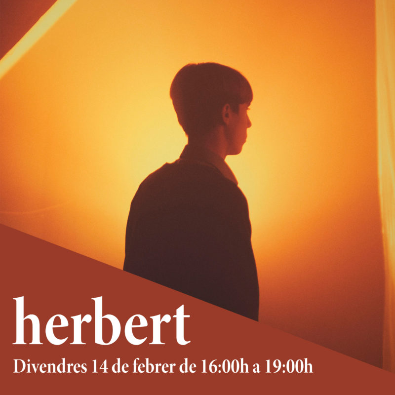 HERBERT – projecte transmèdia –