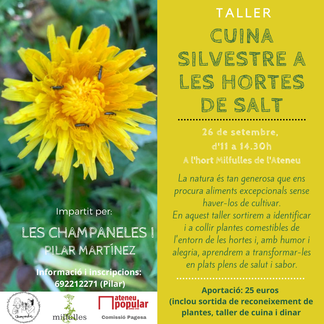Taller: Cuina silvestre a les hortes de Salt
