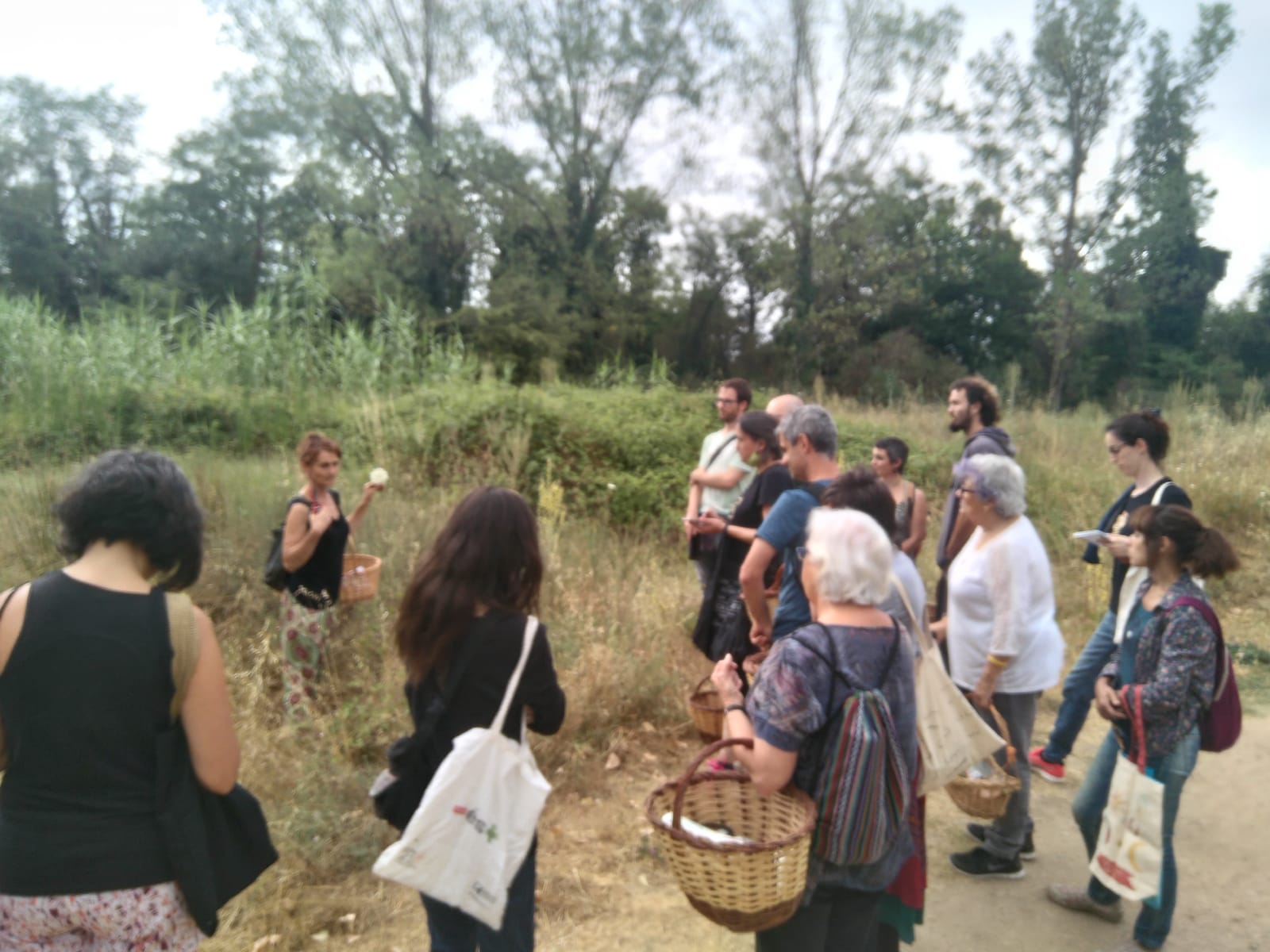 La ratafia no és només un Licor! gran jornada de taller de ratafia a les hortes de Salt