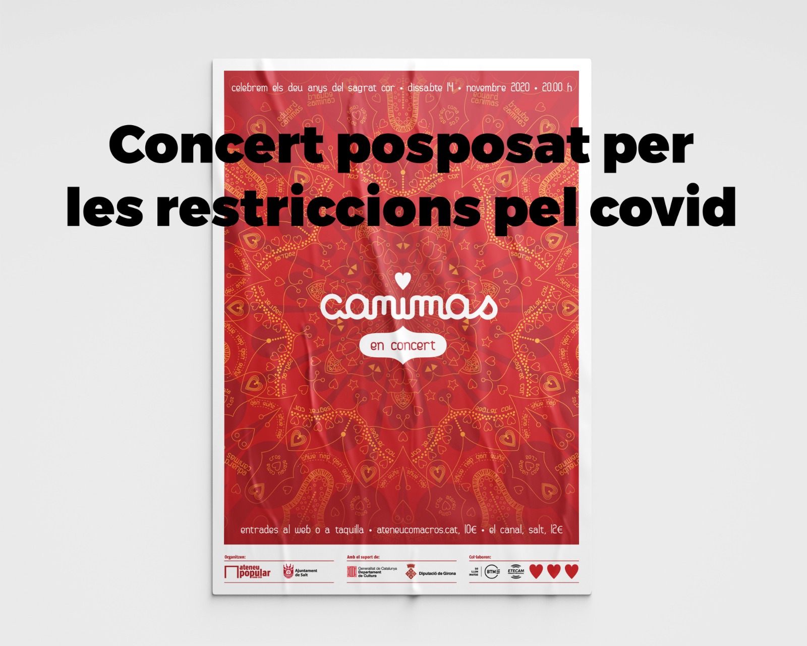 Suspensió Concert Eduard Canimas