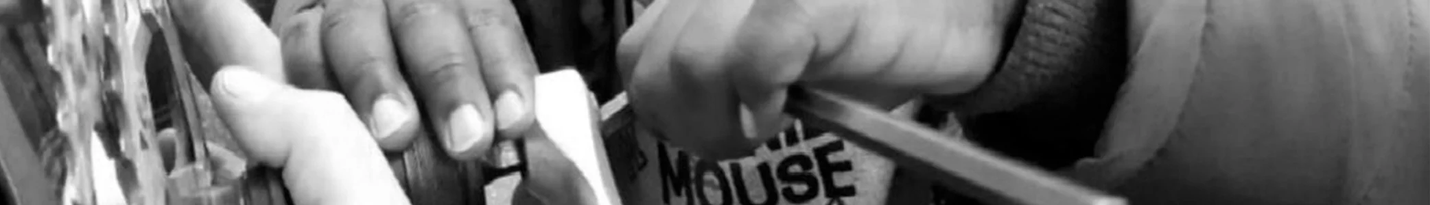 Capçalera Ocupabilitat