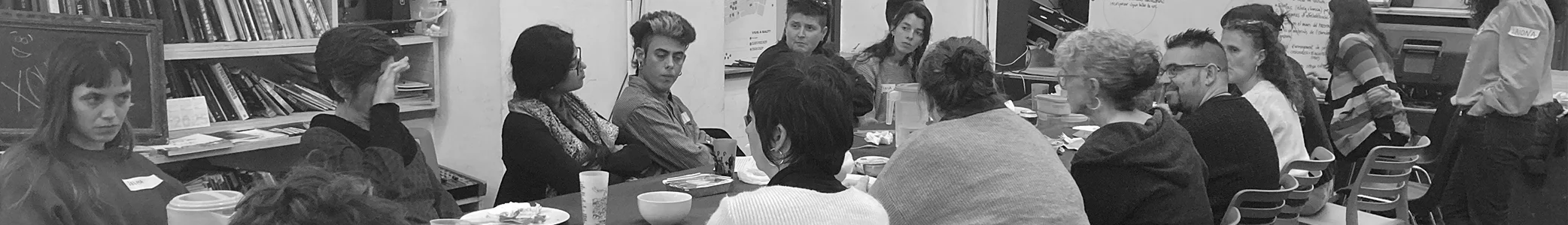 Capçalera Ocupabilitat