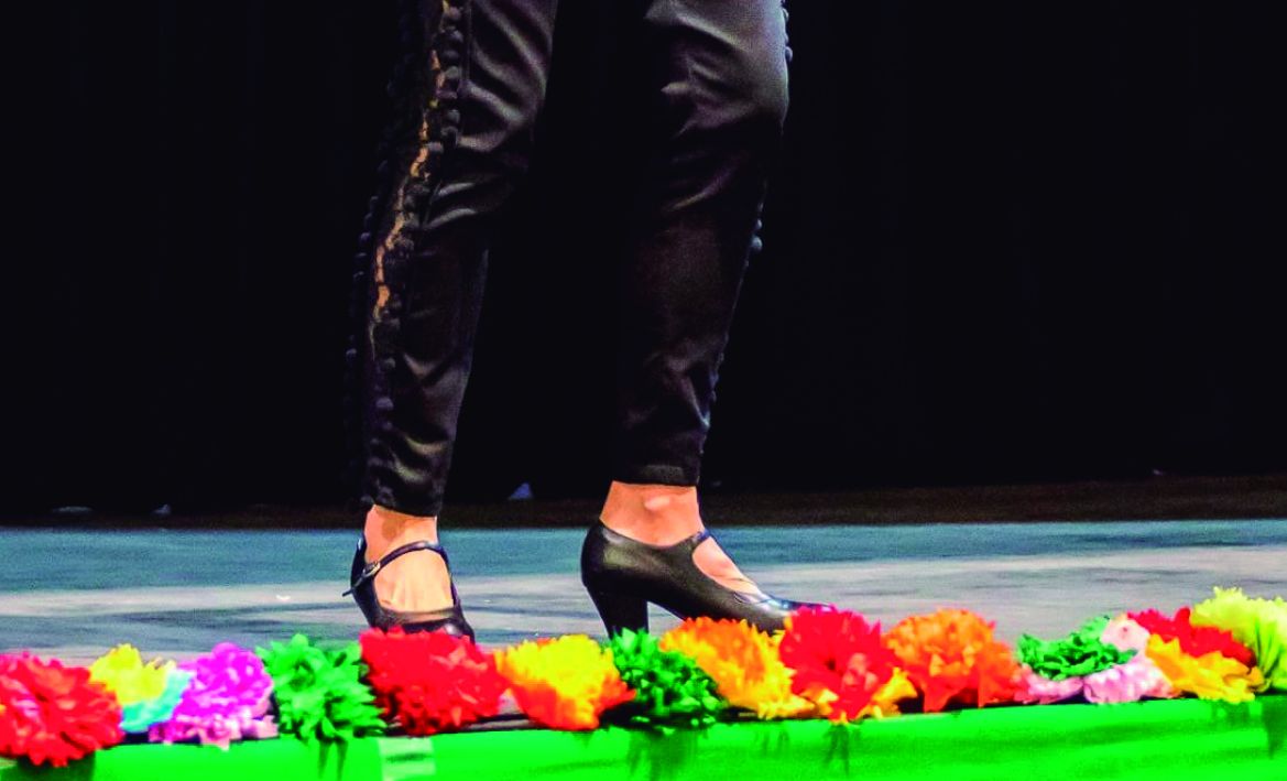 Flamenc | © @AteneuComacros Flamenc | © @AteneuComacros