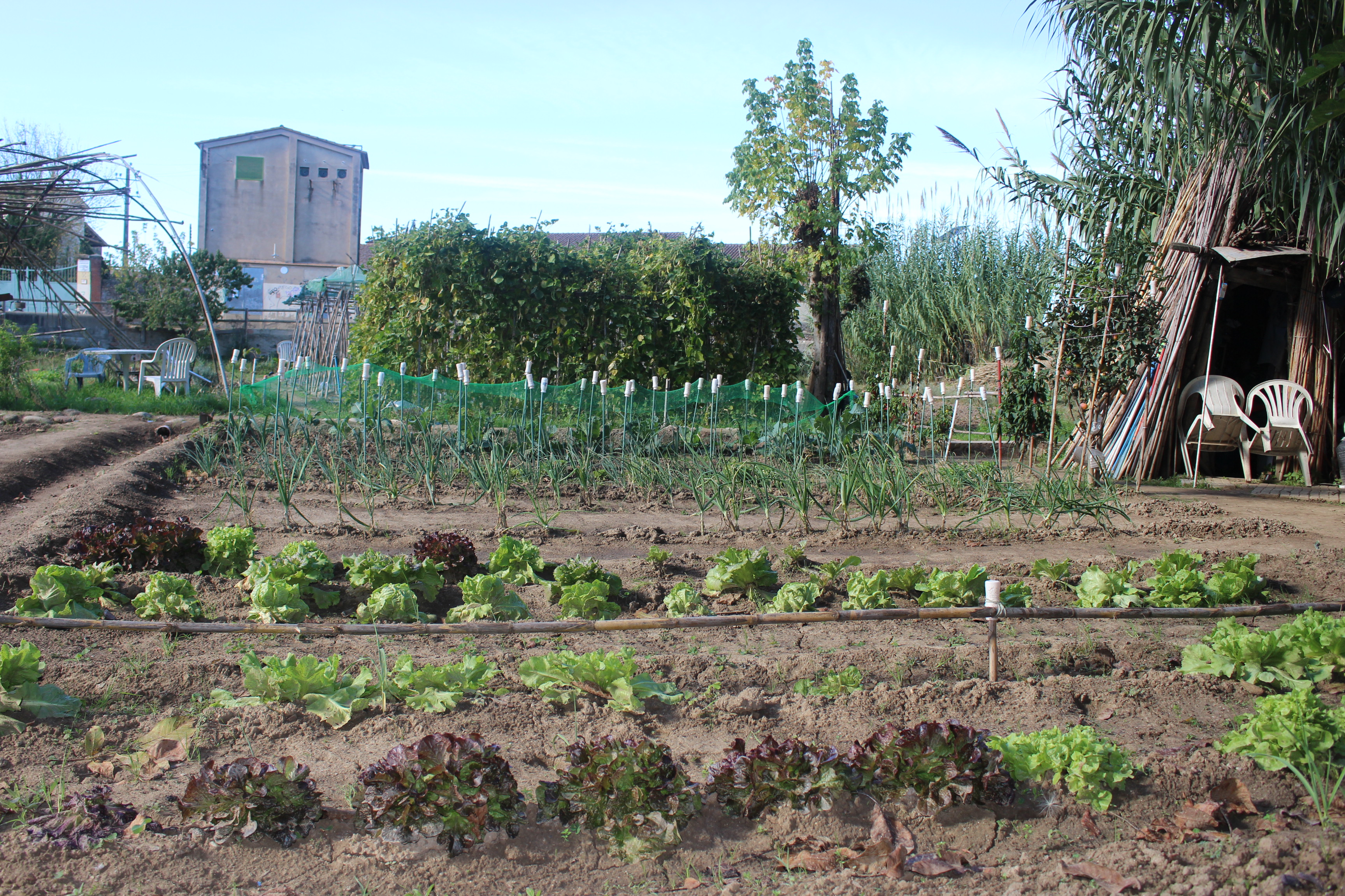 Hortes de Salt | © @Milfulles