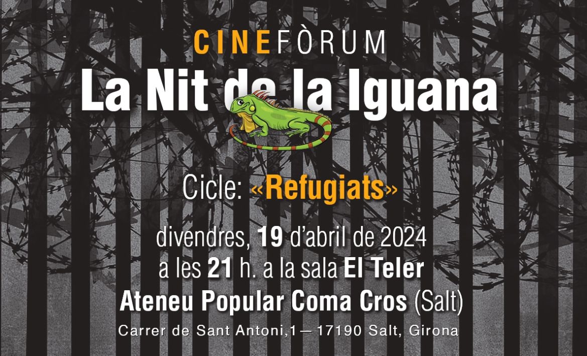 iguana abril 2024 iguana abril 2024