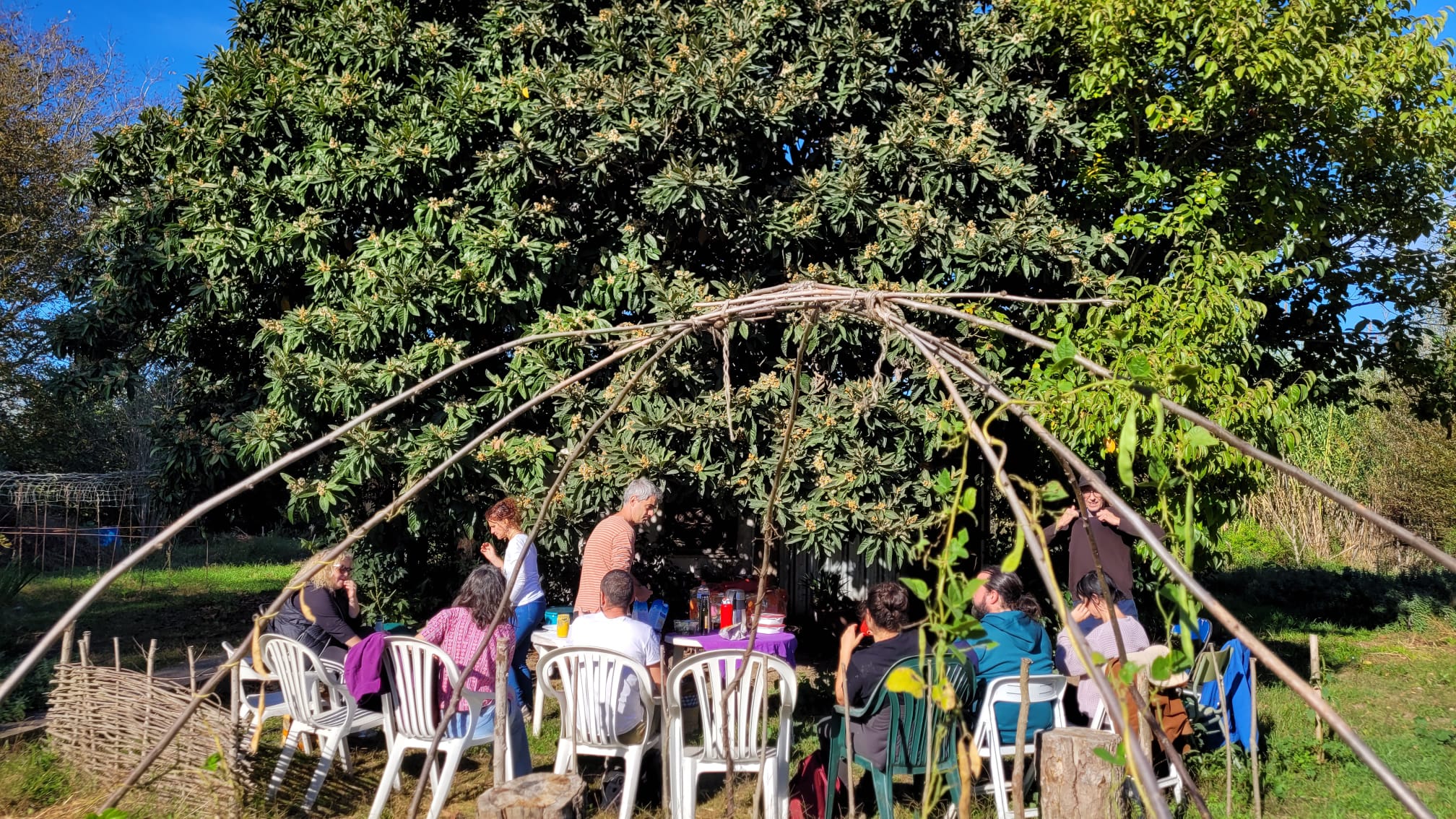 Visita hortes  novembre 2 | © @Somdesalt