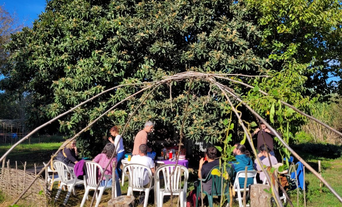 Visita hortes  novembre 2 | © @Somdesalt Visita hortes  novembre 2 | © @Somdesalt