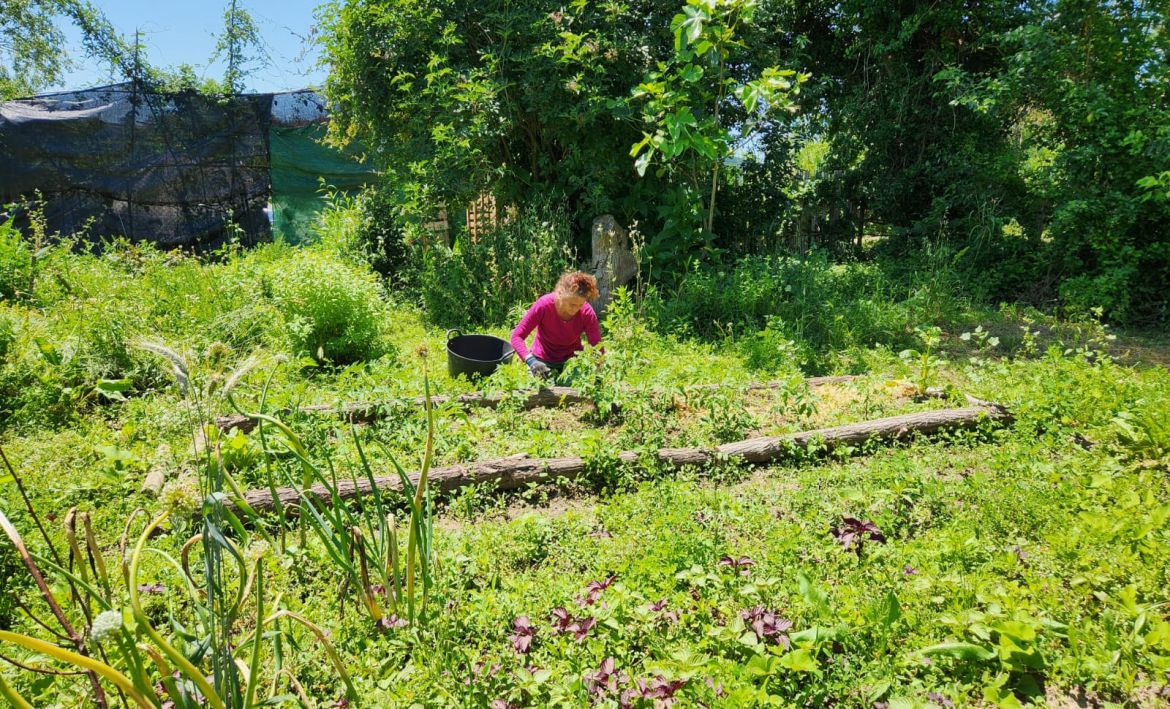 Hort de l'Ateneu. Hort de l'Ateneu.