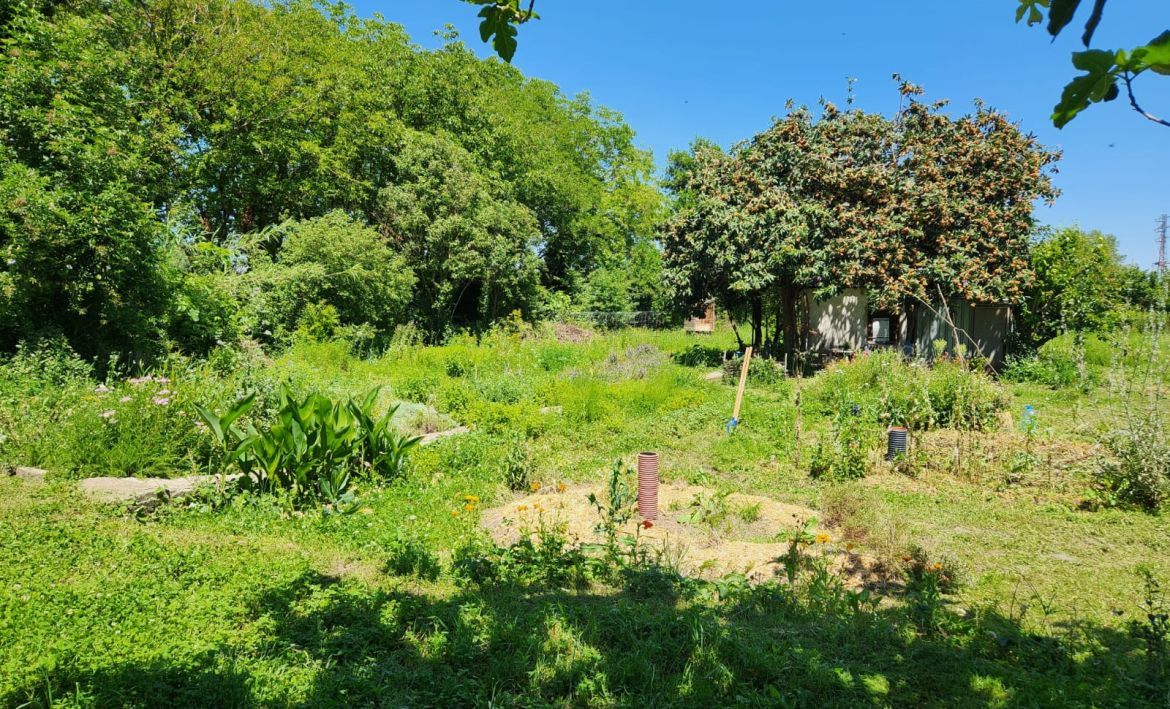 Hort de l'Ateneu. Hort de l'Ateneu.