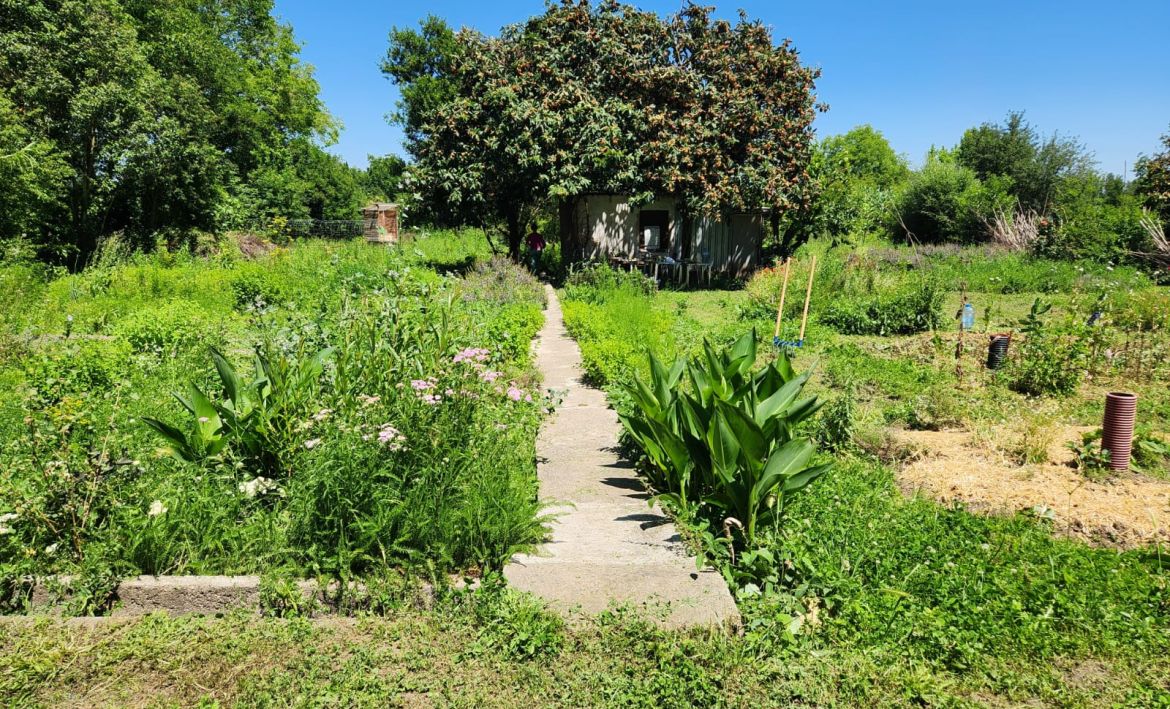 Hort de l'Ateneu. Hort de l'Ateneu.